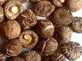 high protein low carb foods delivery in hk